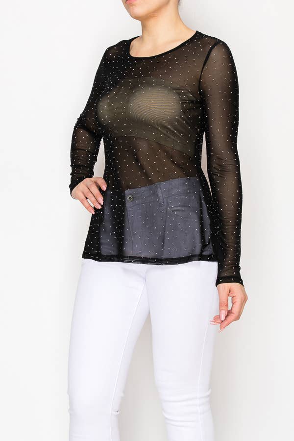Sparkly Long Sleeve Sheer Mesh Top