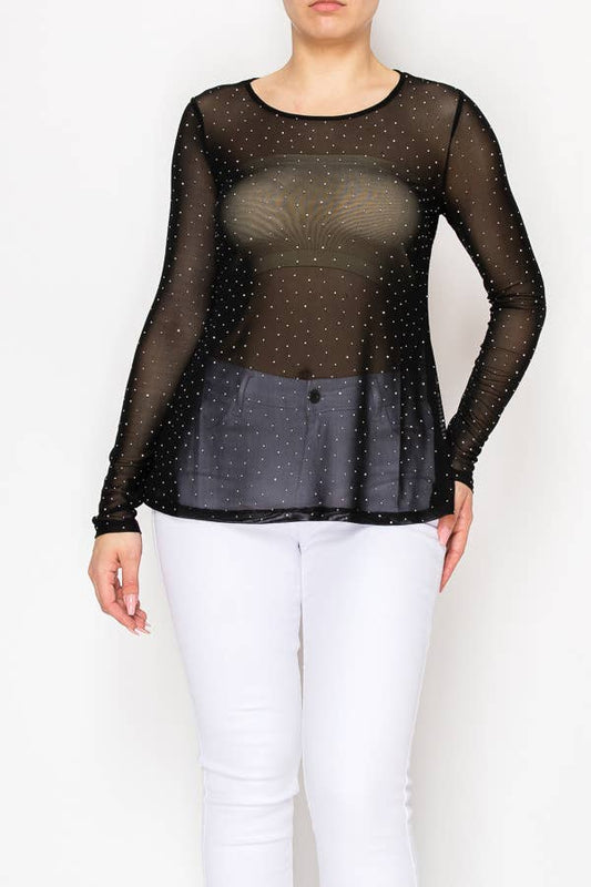 Sparkly Long Sleeve Sheer Mesh Top